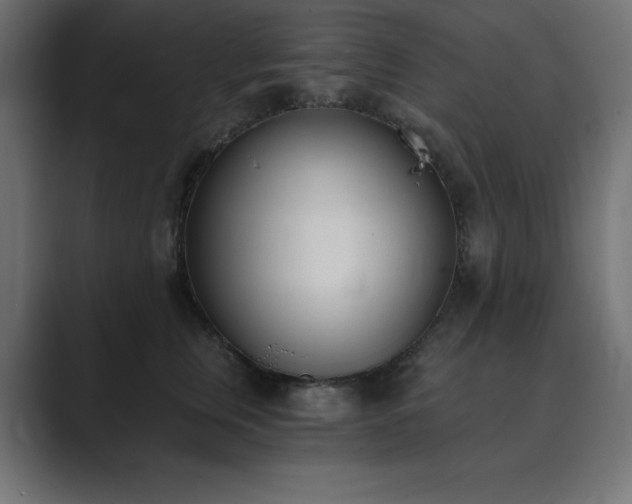 X0000089850759200706281251