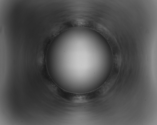 X0000089850760200706281251