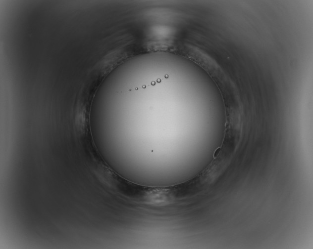 X0000089850761200706281251