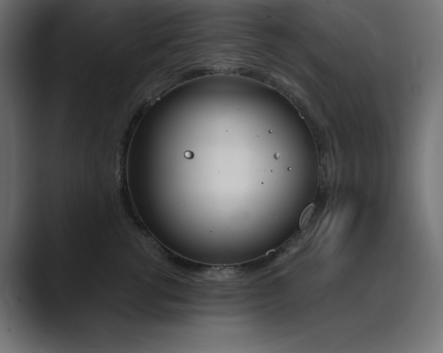 X0000089850762200706281251