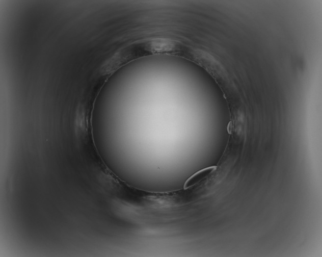 X0000089850763200706281251