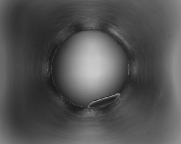 X0000089850764200706281251