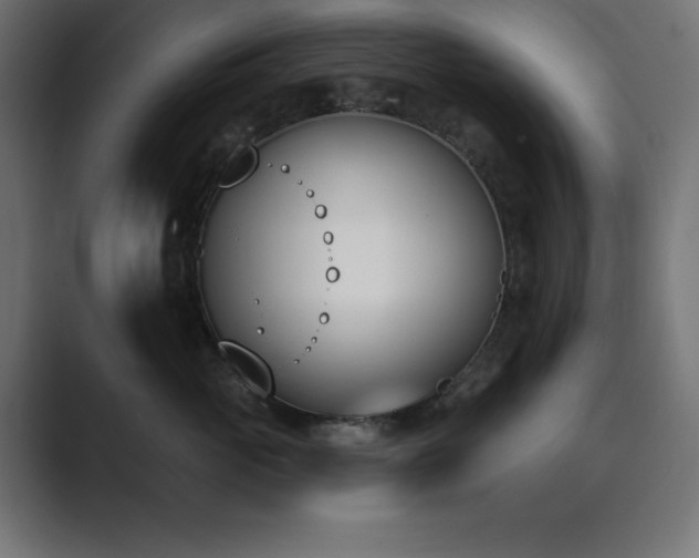 X0000089850765200706281251