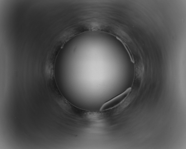 X0000089850766200706281251