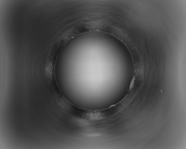 X0000089850767200706281251