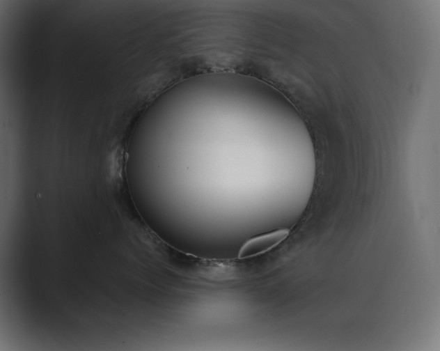 X0000089850768200706281251