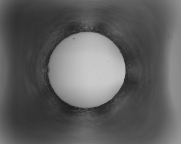 X0000089850769200706281250