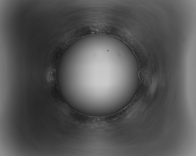 X0000089850770200706281250