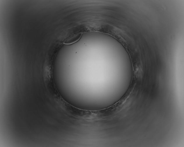 X0000089850772200706281250