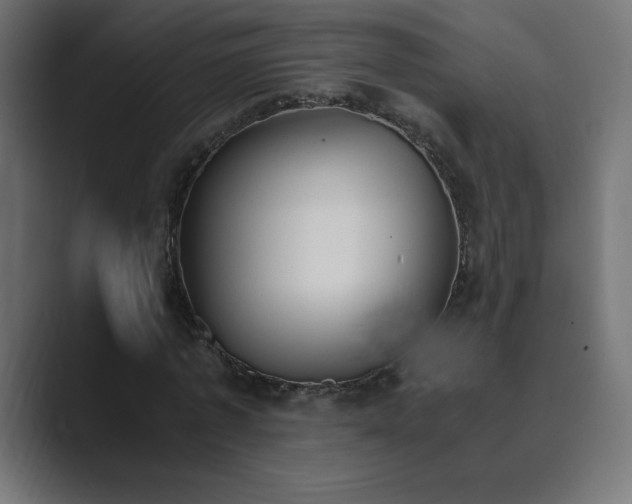 X0000089850773200706281250