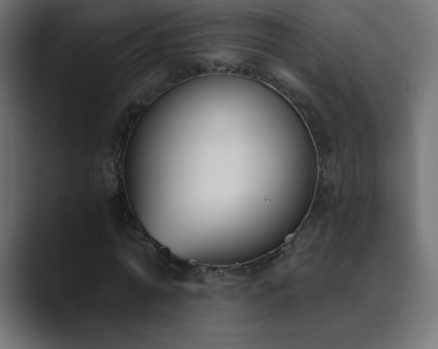 X0000089850774200706281250