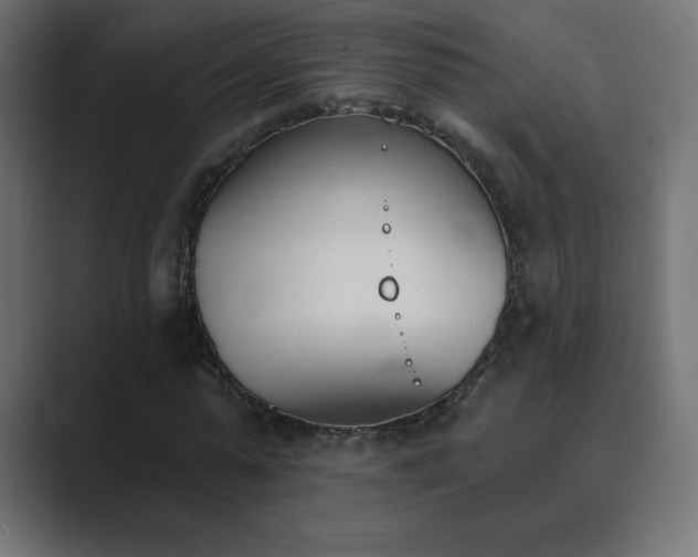X0000089850775200706281250