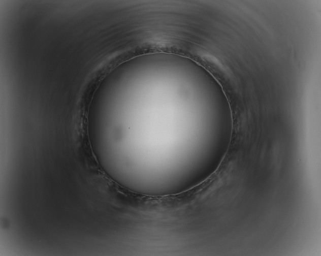 X0000089850776200706281250