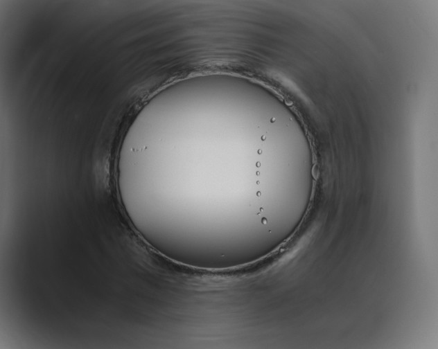 X0000089850777200706281250