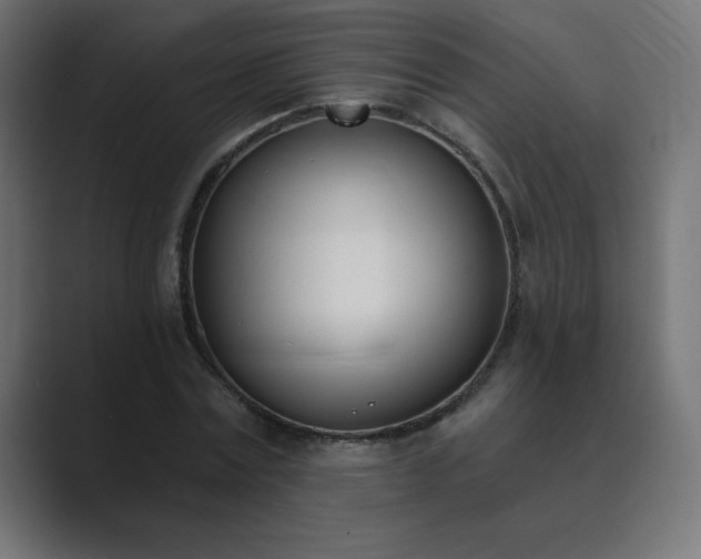 X0000089850779200706281250
