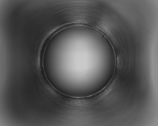 X0000089850780200706281250
