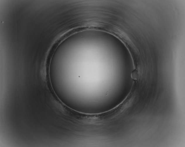 X0000089850784200706281250