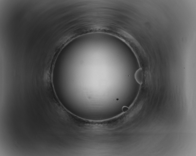 X0000089850785200706281250