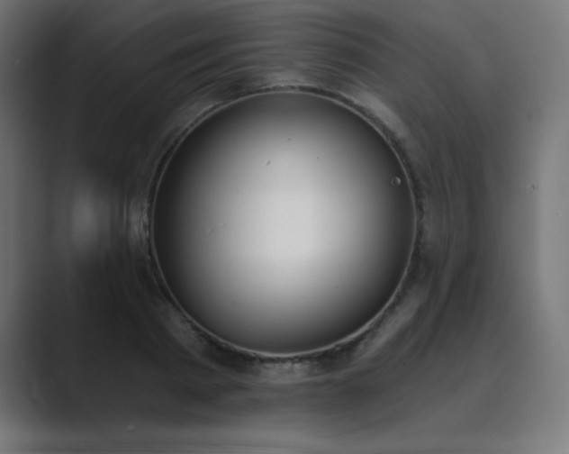 X0000089850793200706281250