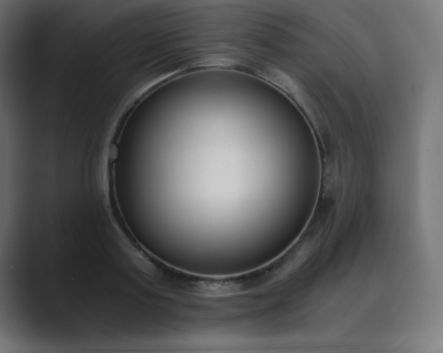 X0000089850795200706281250