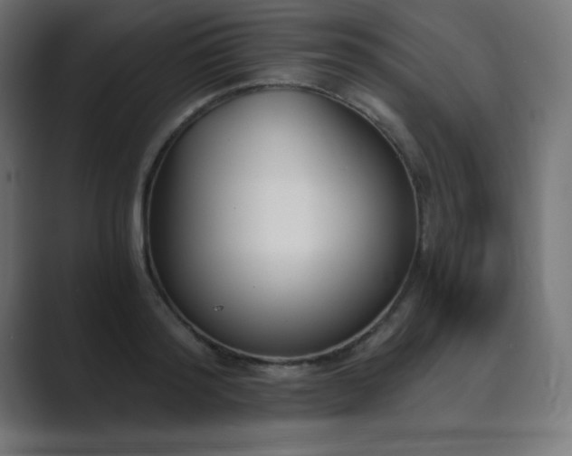 X0000089850796200706281250