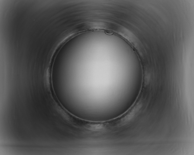 X0000089850798200706281250