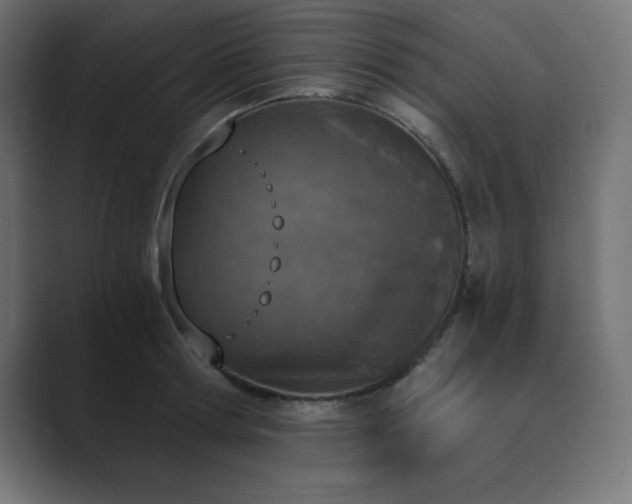 X0000089850802200706281250