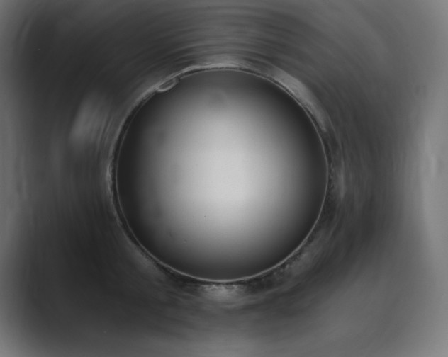 X0000089850805200706281250