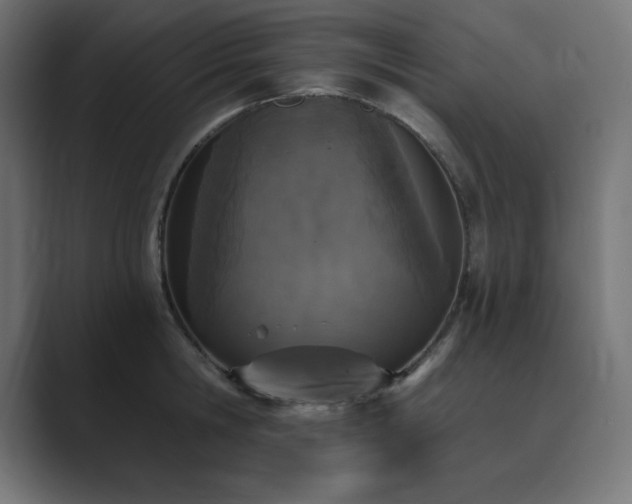 X0000089850806200706281250