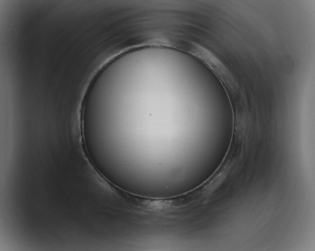 X0000089850808200706281250