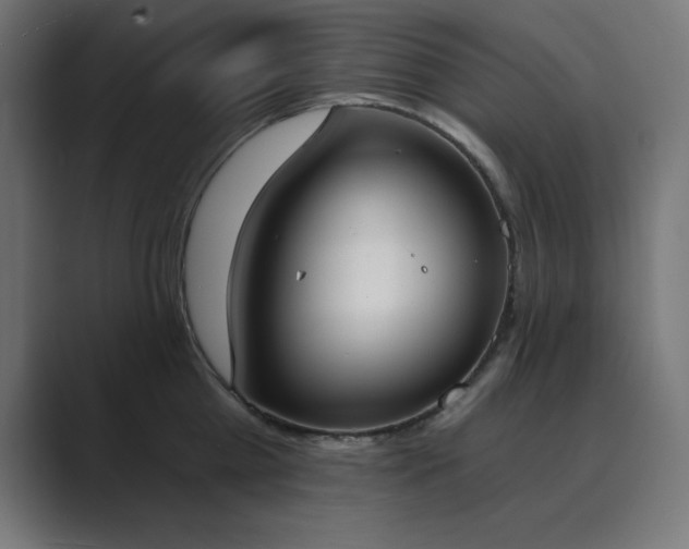 X0000089850809200706281250