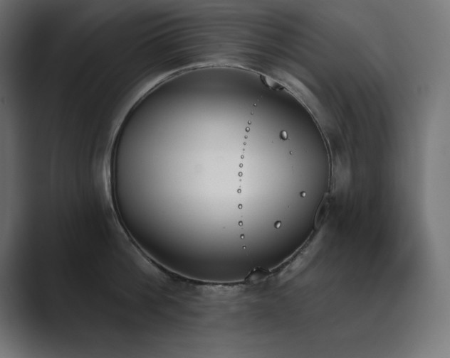 X0000089850812200706281250