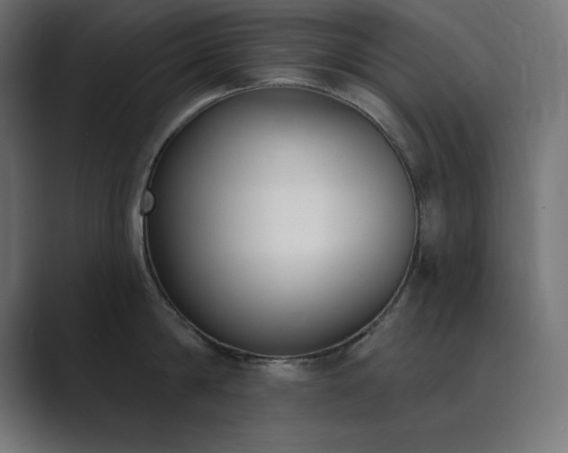 X0000089850814200706281250