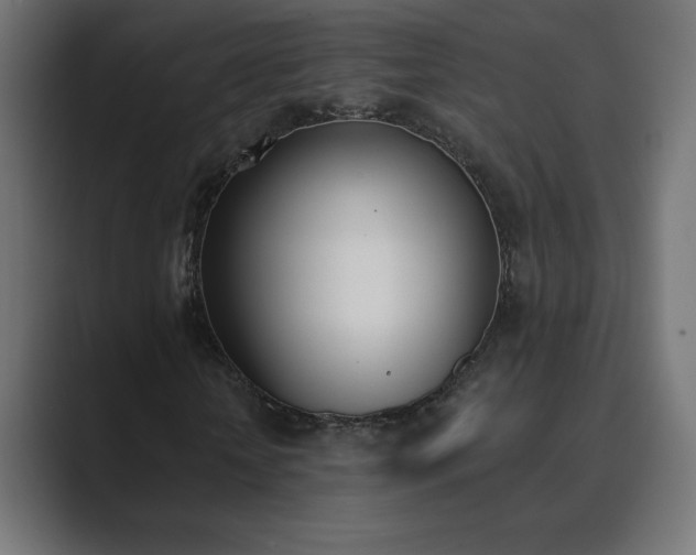 X0000089850818200706281249