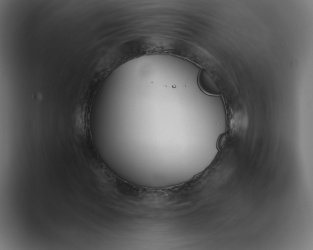 X0000089850819200706281249