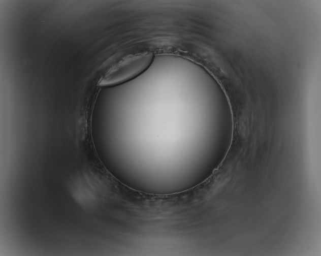 X0000089850821200706281249