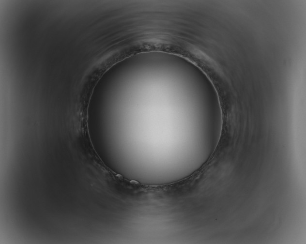 X0000089850822200706281249