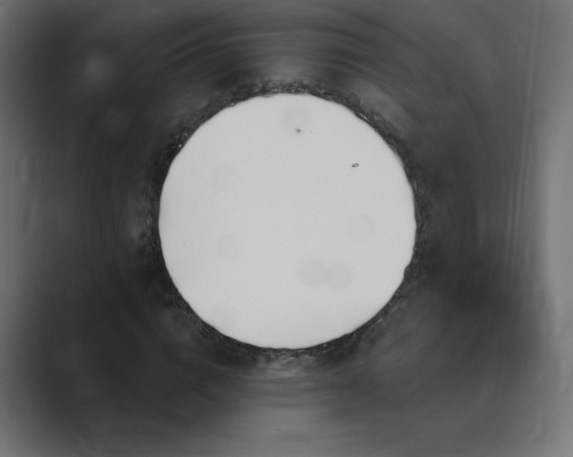 X0000089850824200706281249