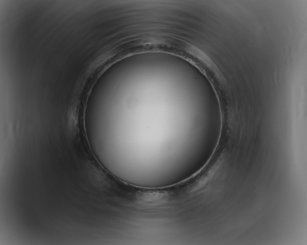 X0000089850826200706281249