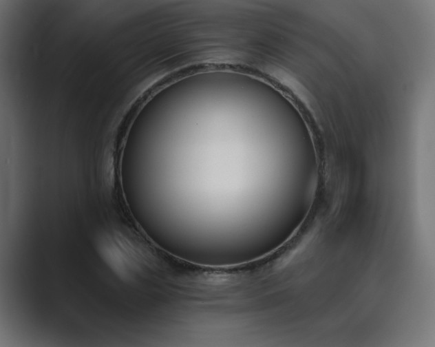 X0000089850829200706281249