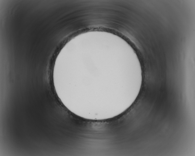 X0000089850832200706281249