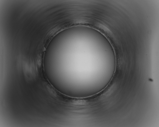 X0000089850833200706281249