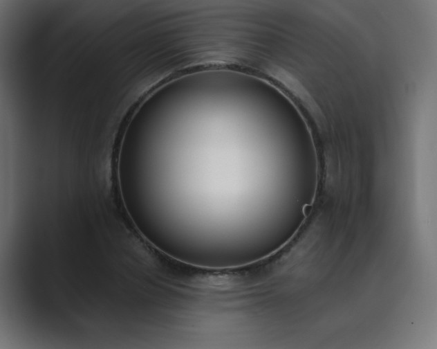 X0000089850834200706281249