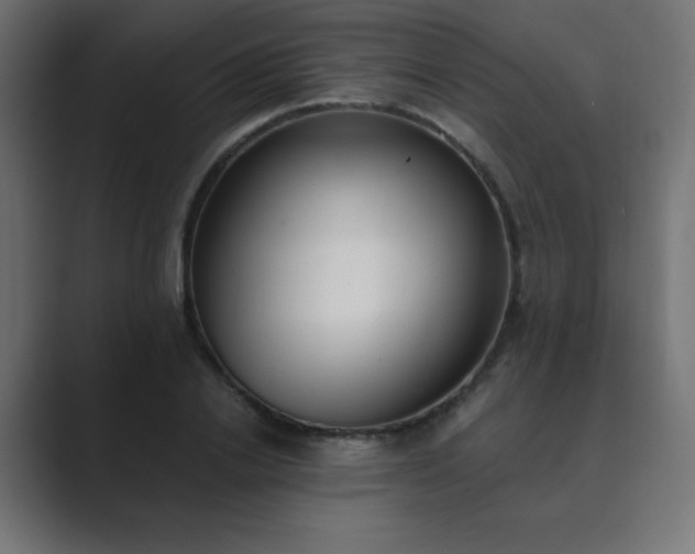 X0000089850838200706281250