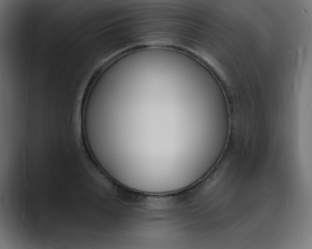 X0000089850840200706281250