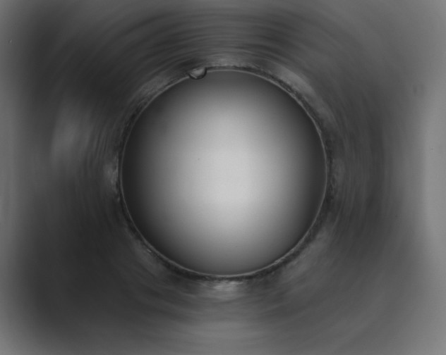 X0000089850841200706281250