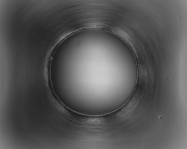 X0000089850843200706281250