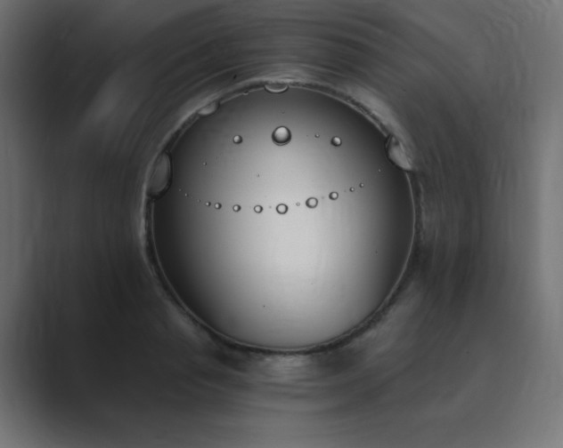 X0000089850845200706281250
