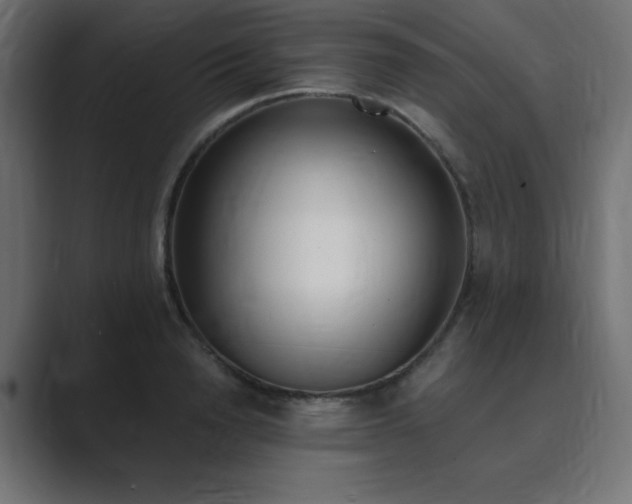 X0000089850846200706281250