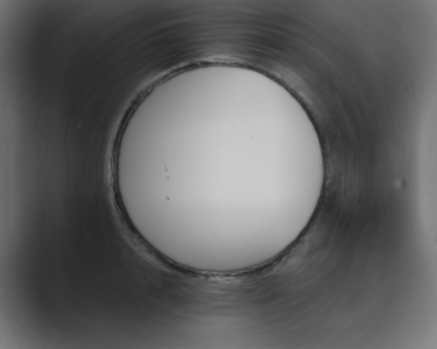 X0000089850848200706281250